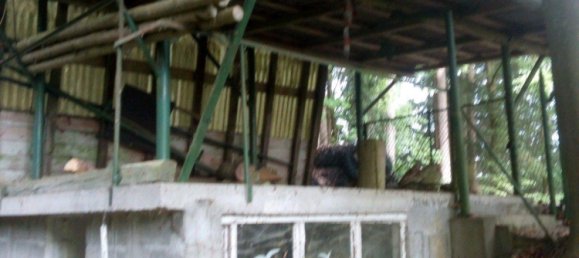 1 chambre Terrain à Straubing-Bogen, Germany No. 280900 16