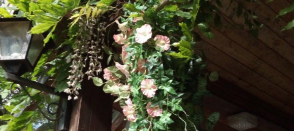 1 chambre Terrain à Straubing-Bogen, Germany No. 280900 2