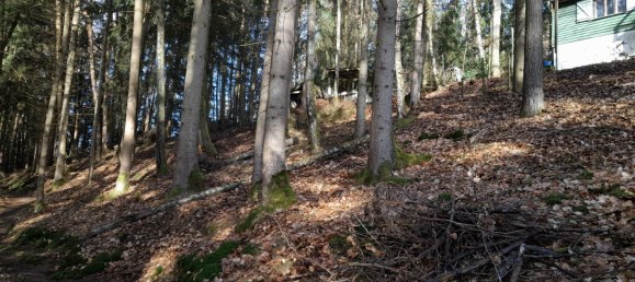 1 chambre Terrain à Straubing-Bogen, Germany No. 280900 19