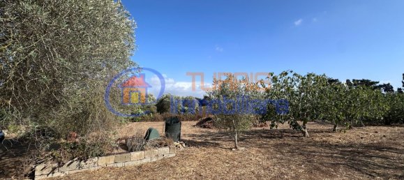 3-salle Maison à Sassari, Italy No. 266506 45