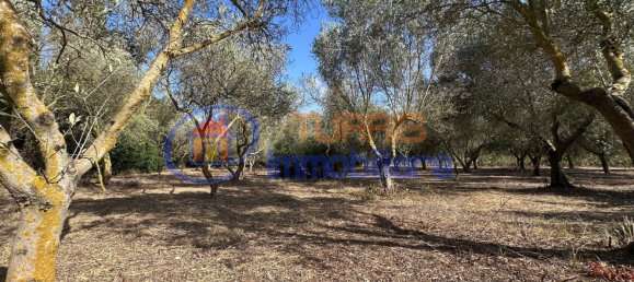 3-salle Maison à Sassari, Italy No. 266506 49