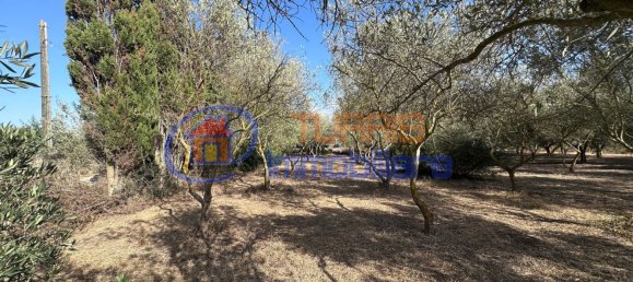 3-salle Maison à Sassari, Italy No. 266506 50