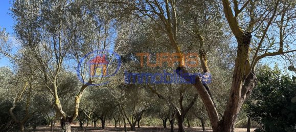 3-salle Maison à Sassari, Italy No. 266506 48