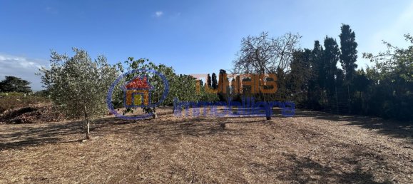 3-salle Maison à Sassari, Italy No. 266506 44