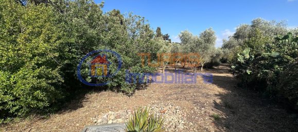 3-salle Maison à Sassari, Italy No. 266506 46