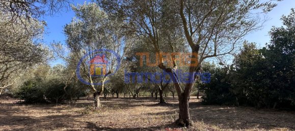 3-salle Maison à Sassari, Italy No. 266506 47