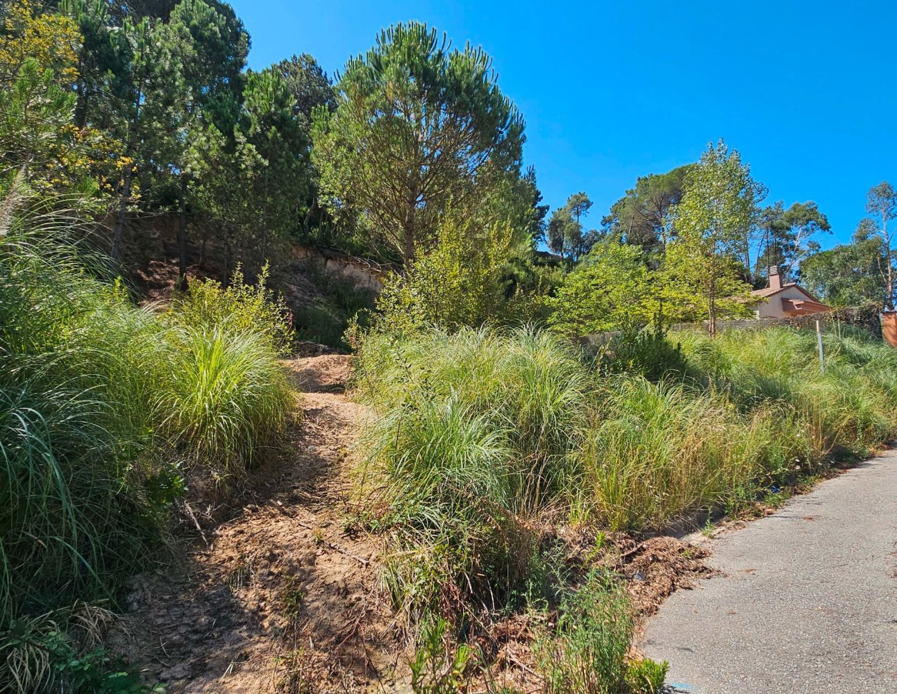  قطعة أرض في Lloret de Mar, Spain 811متر مربع رقم 206359