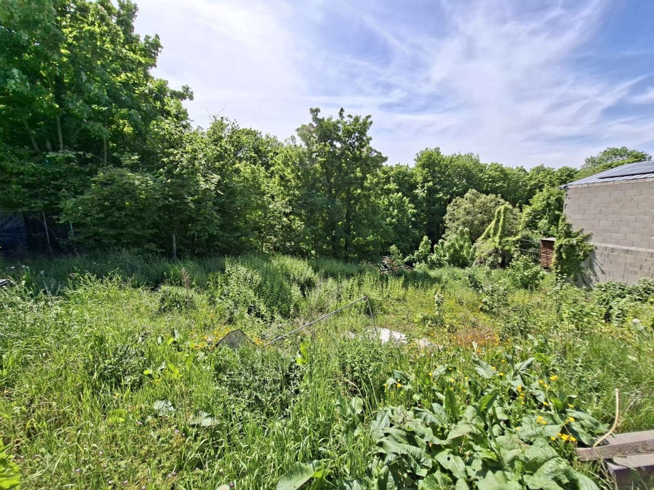  Land in Duren, Germany No. 271927