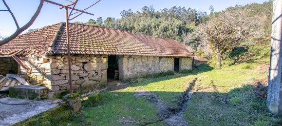 6 Schlafzimmer Haus in Tondela, Portugal, Nr. 162787 3