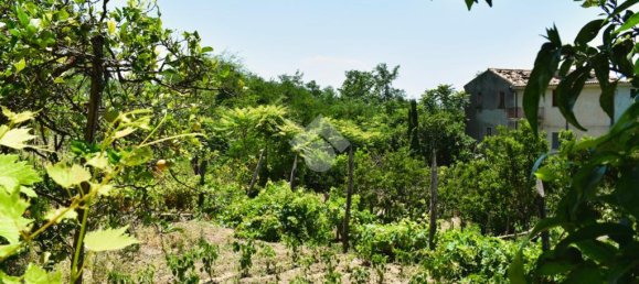 Дом с 5 спальнями в Палуди, Италия № 302249 3