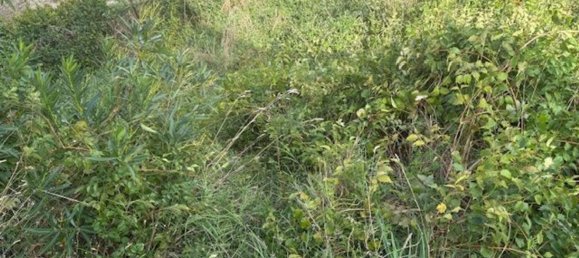 5 Schlafzimmer Wohnung in Narni, Italy, Nr. 376381 2