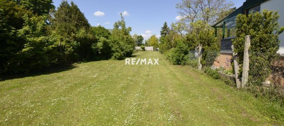 11غرفة منزل في Ebergassing, Austria رقم 160750 6