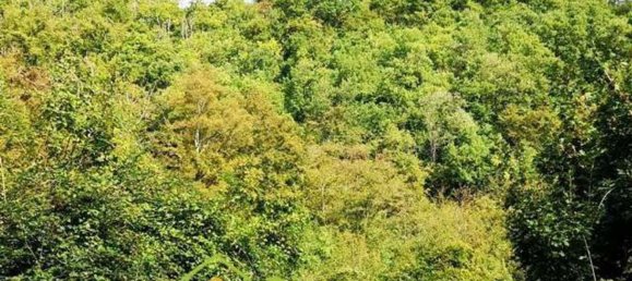 Terrain à Barberino di Mugello, Italy No. 340751 2