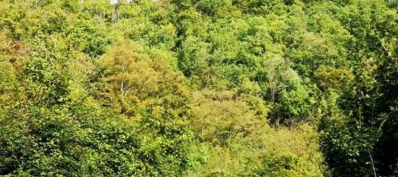 Terrain à Barberino di Mugello, Italy No. 340751 4