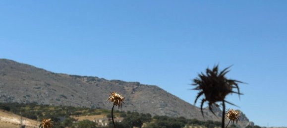 2 Schlafzimmer Haus in Antequera, Spain, Nr. 137996 29