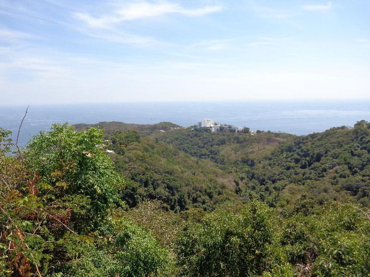 4 غرف نوم شقة في Guerrero, Mexico رقم 165572