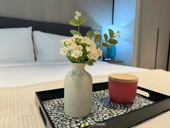 1 bedroom Apartment for rent in District 1, Ho Chi Minh, Vietnam № 75226