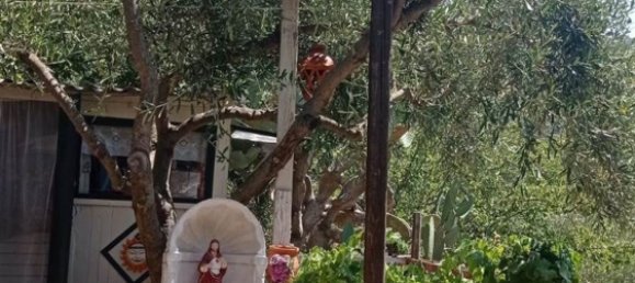 Land in Linguaglossa, Italy No. 372801 15