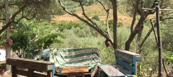 Land in Linguaglossa, Italy No. 372801 10