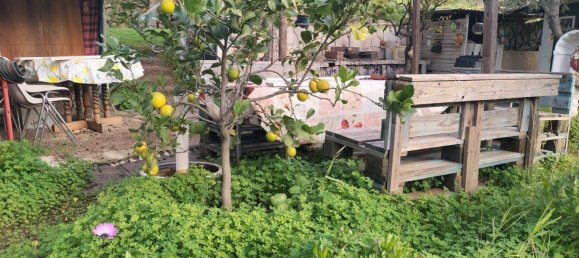 Land in Linguaglossa, Italy No. 372801 8