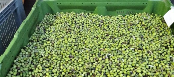 Land in Linguaglossa, Italy No. 372801 16