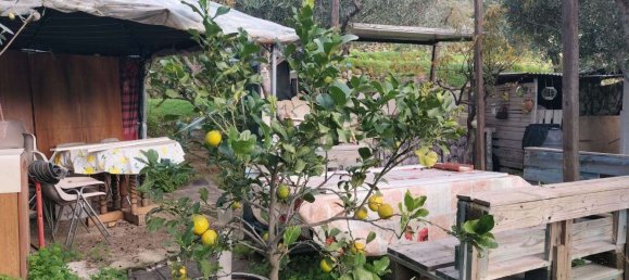 Land in Linguaglossa, Italy No. 372801 9