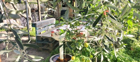 Land in Linguaglossa, Italy No. 372801 5