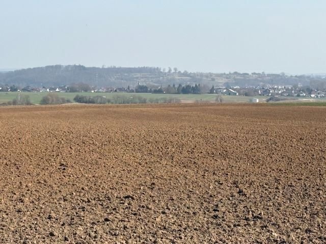  Land in Main-Kinzig, Germany No. 42419