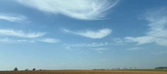 Land in Main-Kinzig, Germany No. 42419 3