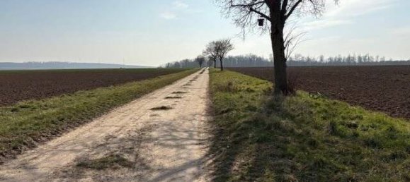 Land in Main-Kinzig, Germany No. 42419 5