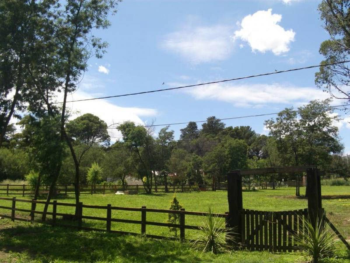  Land in Tornquist, Argentina No. 37686