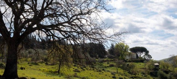 15غرفة منزل في Suvereto, Italy رقم 71028 16