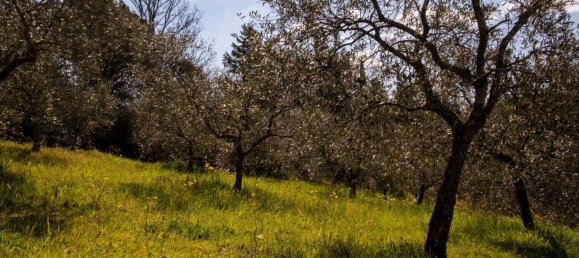 15غرفة منزل في Suvereto, Italy رقم 71028 11