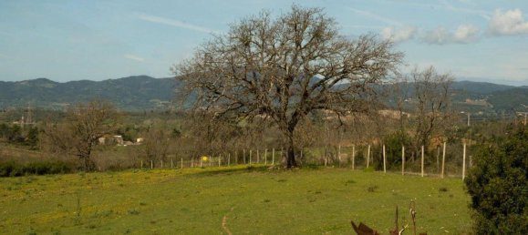 15غرفة منزل في Suvereto, Italy رقم 71028 17