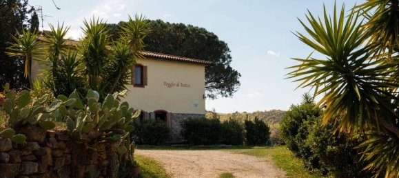 15غرفة منزل في Suvereto, Italy رقم 71028 6