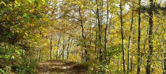 13-salle Villa à Osiglia, Italy No. 86702 12