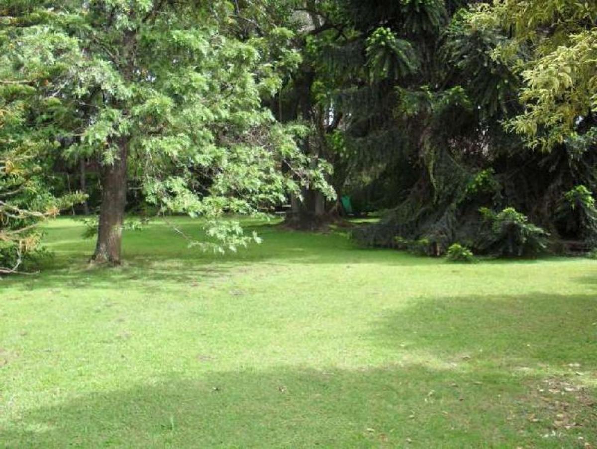  Land in Ituzaingo, Argentina No. 40636