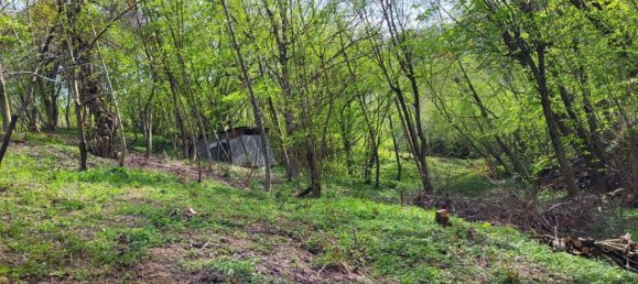 2 rooms House in Roccavione, Italy No. 109434 5