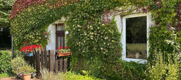 10 rooms Farm in Herford, Germany No. 371034 19