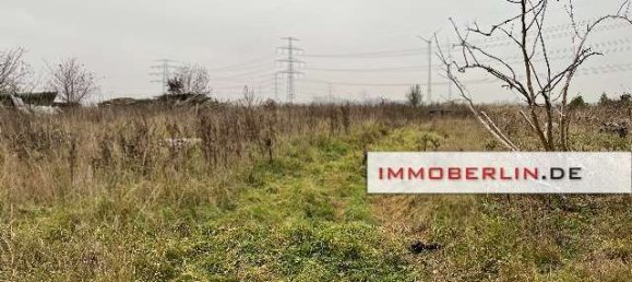  قطعة أرض في Brandenburg, Germany رقم 105866 2