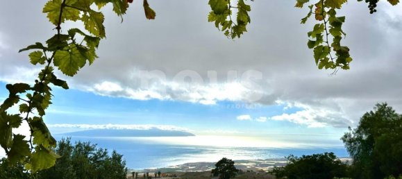 4 bedrooms Villa in Vera De Erques, Spain No. 14036 8