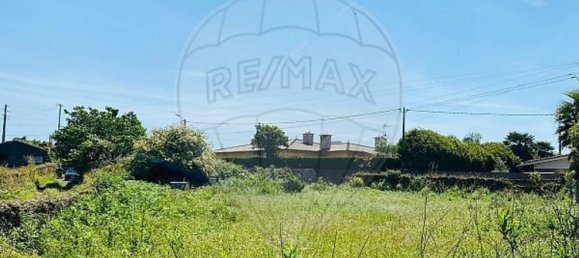 2 bedrooms House in Loureiro, Portugal No. 30590 9