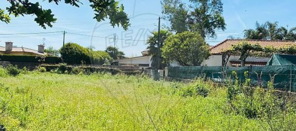 2 bedrooms House in Loureiro, Portugal No. 30590 3