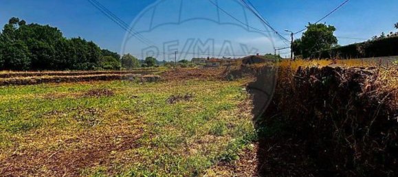 2 bedrooms House in Loureiro, Portugal No. 30590 8