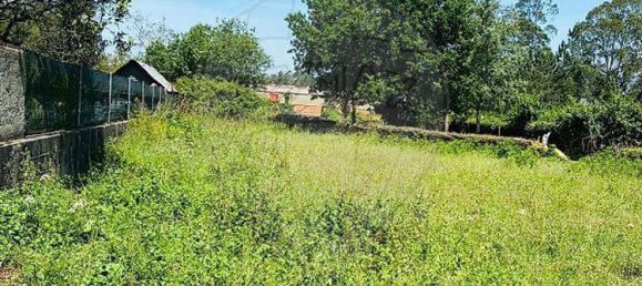 2 bedrooms House in Loureiro, Portugal No. 30590 4