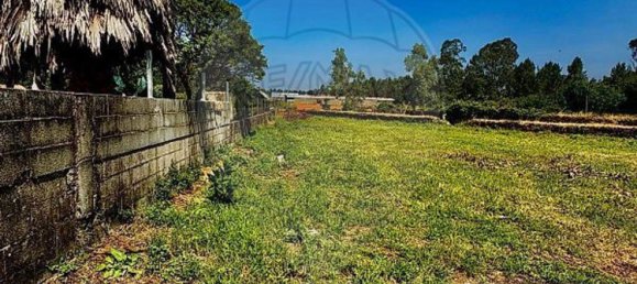 2 bedrooms House in Loureiro, Portugal No. 30590 6