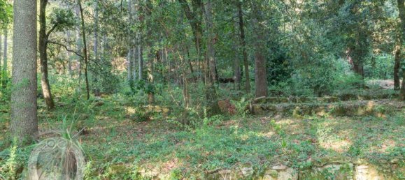 5 Schlafzimmer Haus in Cortona, Italy, Nr. 178342 10