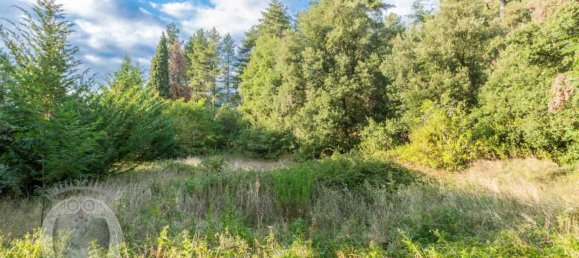 5 Schlafzimmer Haus in Cortona, Italy, Nr. 178342 8