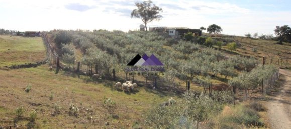  قطعة أرض في Odeleite, Portugal 38320متر مربع رقم 35998 16