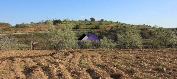  قطعة أرض في Odeleite, Portugal 38320متر مربع رقم 35998 17